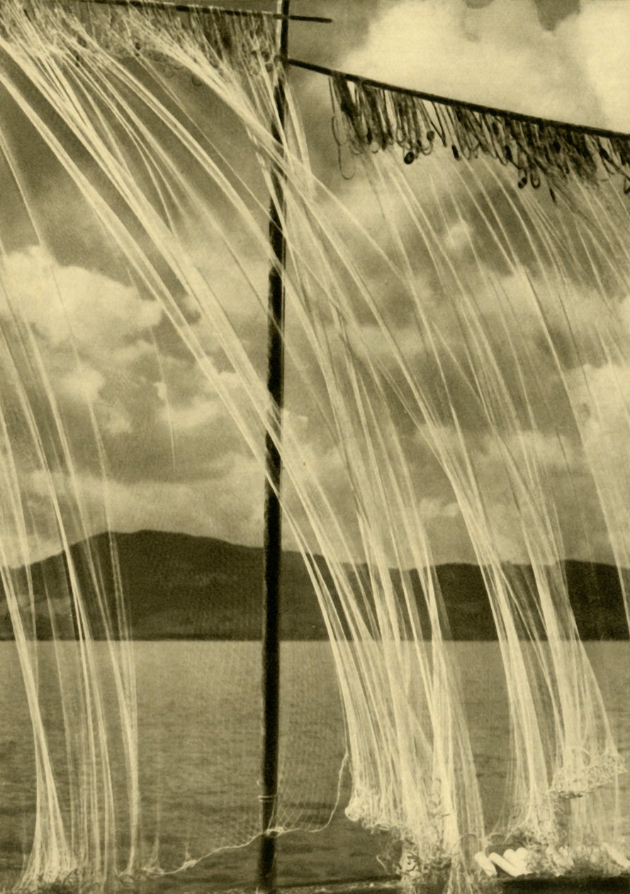 渔网，上奥地利州阿特湖，c1935年。 作者 不明