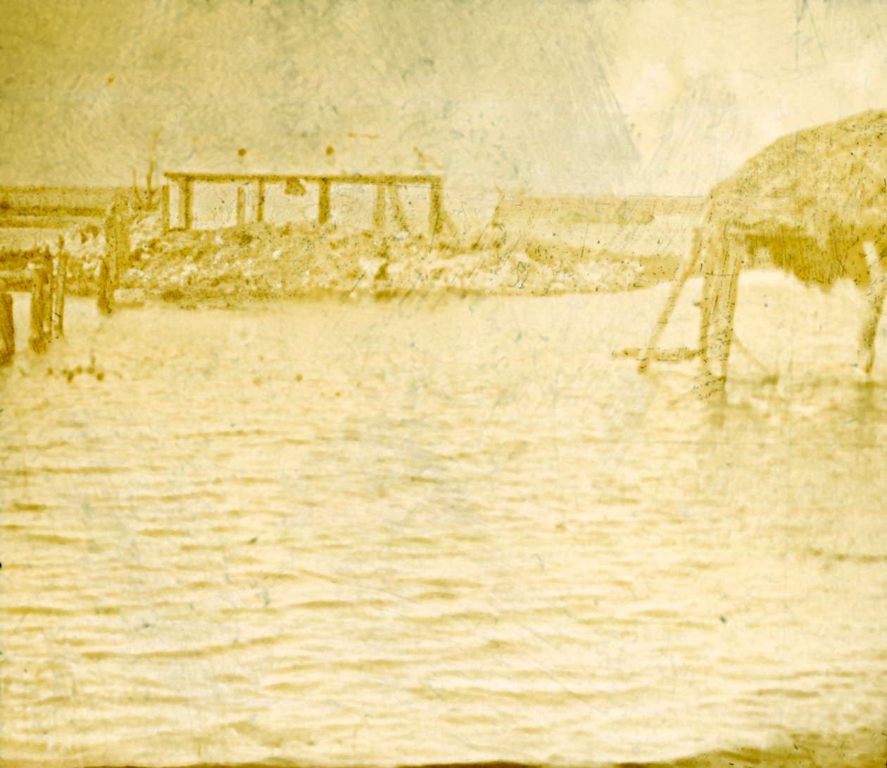 洪水，比利时拉姆斯卡佩勒，c1914-c1918 作者 不明