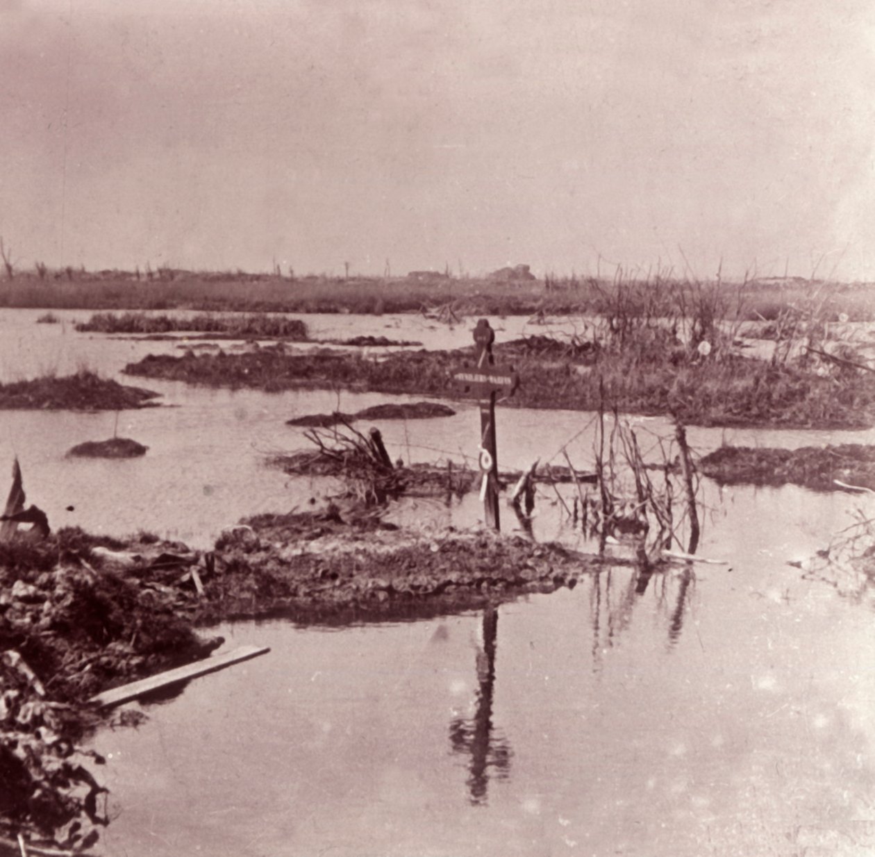 比利时法兰德斯（Flanders），洪水，c1914-c1918 作者 不明