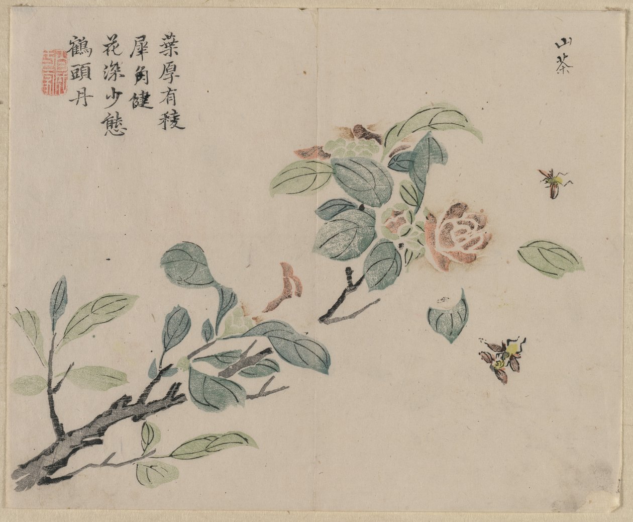 蜜蜂开花分支，十八世纪。 作者 不明