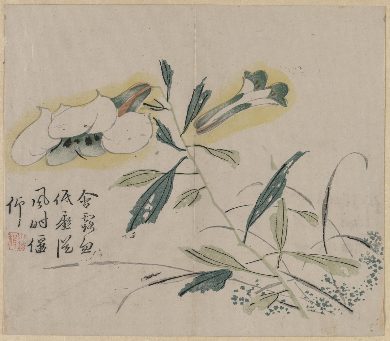 开花的百合，18世纪。 作者 不明