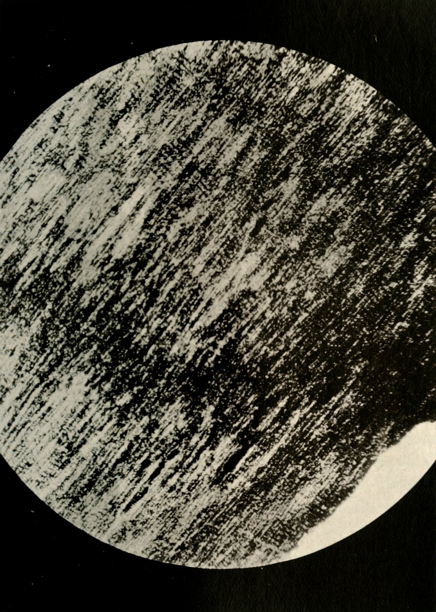 砂岩化石木材，出自南纬85°的冰a，c1908，1909年。 作者 不明