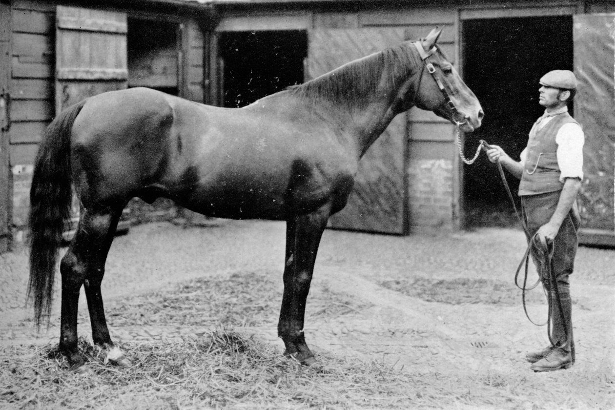 福克斯豪尔（Foxhall），1880-1904年，1911年 作者 不明