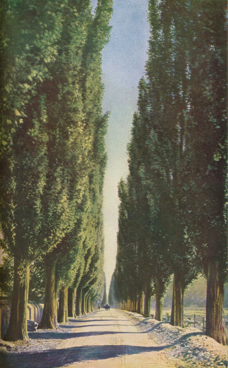 法国，c1930年代 作者 不明