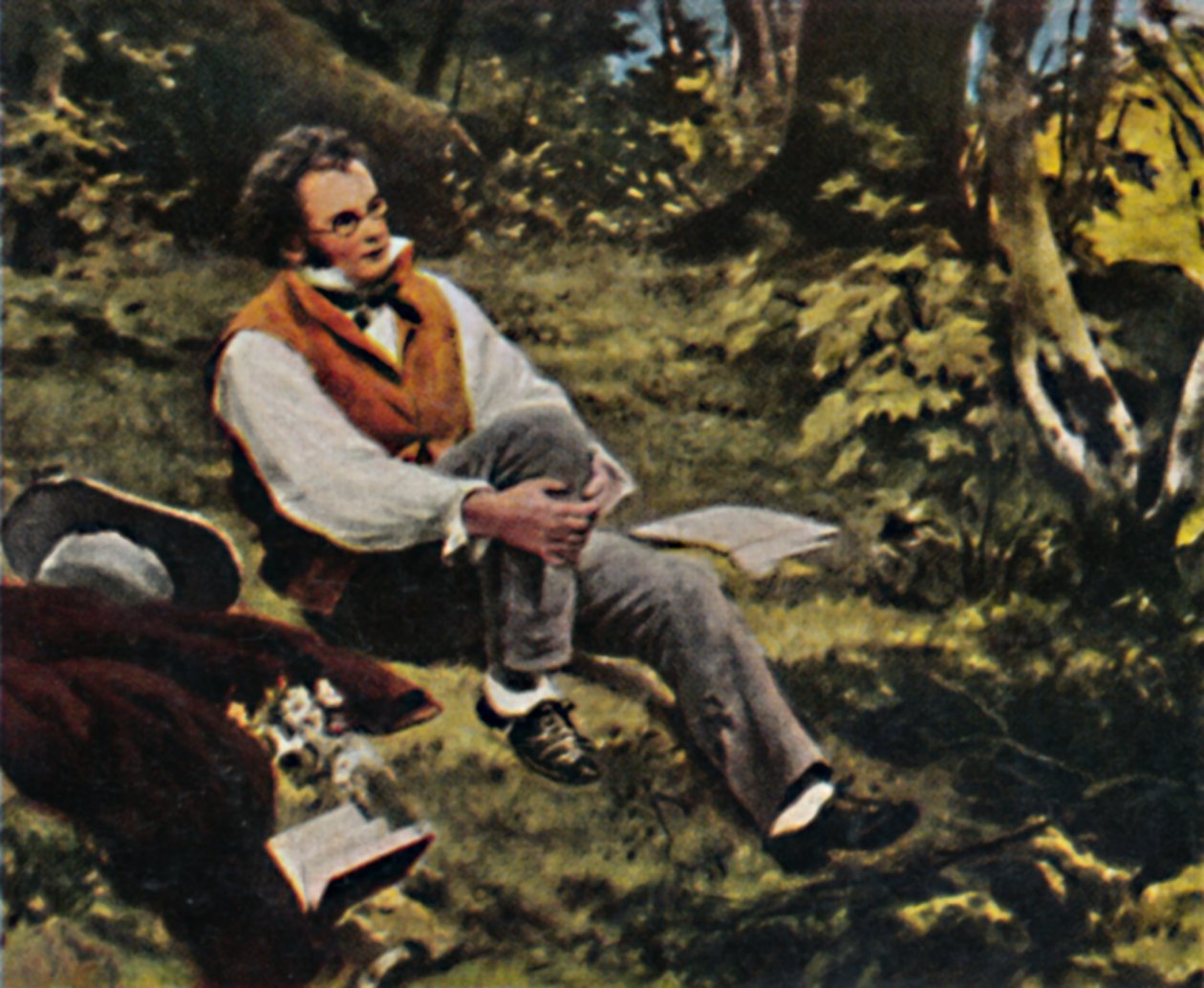 弗朗兹·舒伯特（Franz Schubert）1797-1828。 -J. Schmid绘画，1934年。 作者 不明
