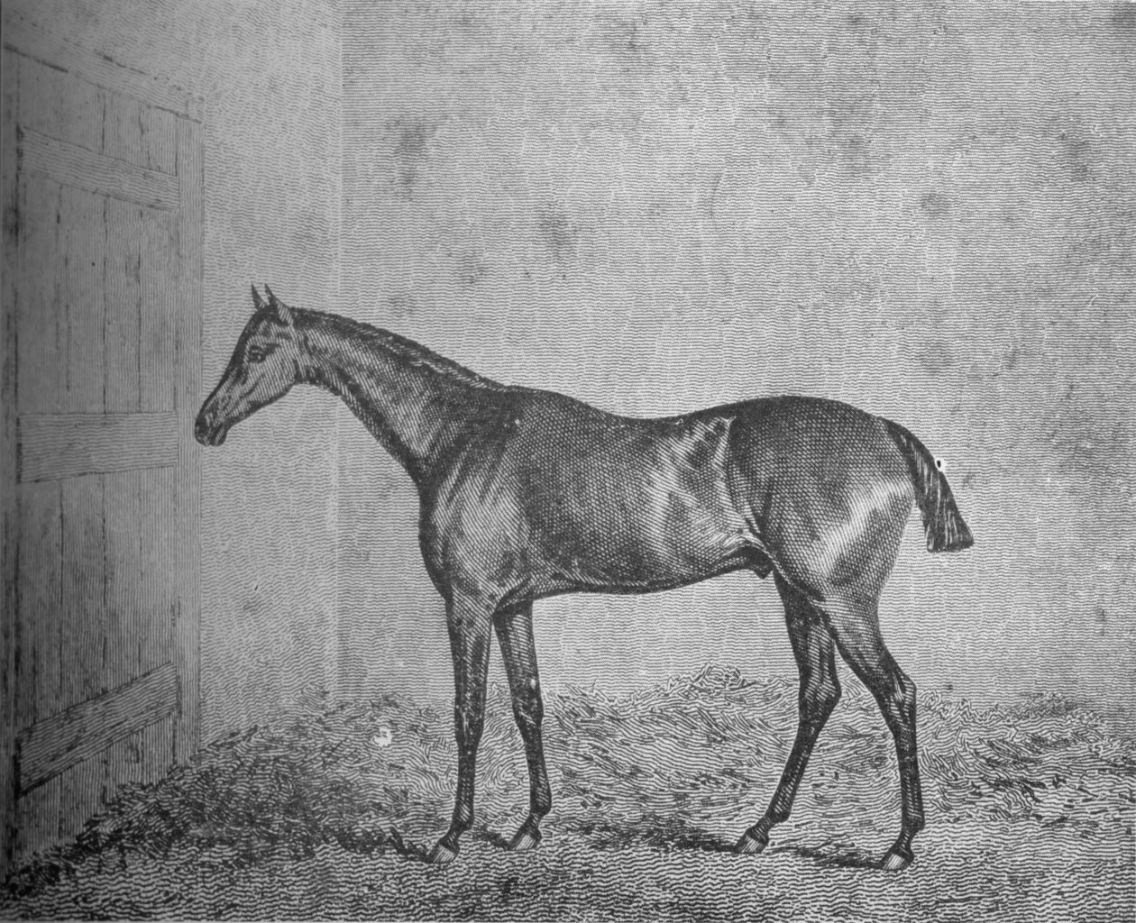 弗雷德里克（Frederick），1826-1837，1911年 作者 不明
