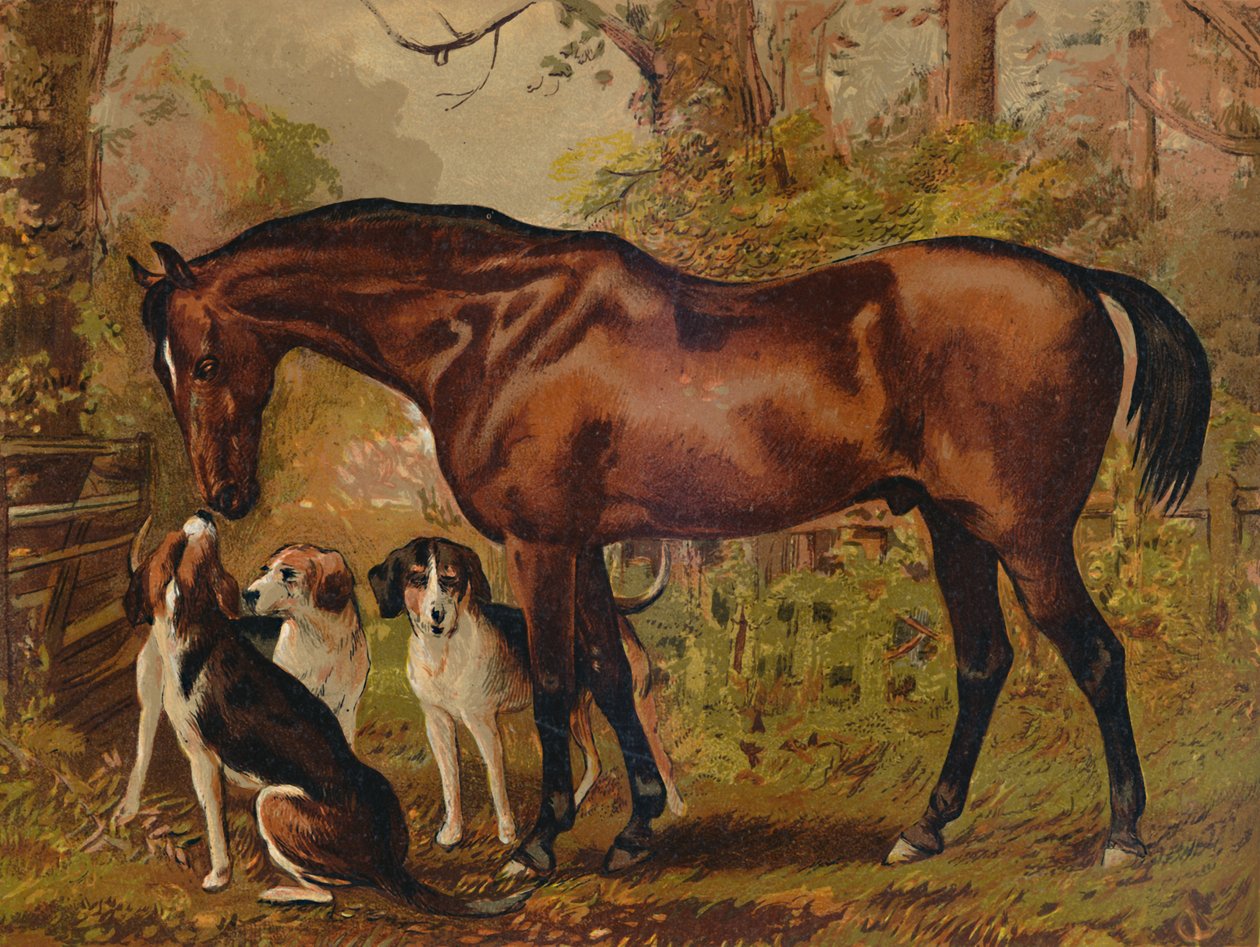 共济会-雨果·梅纳尔·英格拉姆（Hugo Meynell Ingram Esq。）晚期的最爱猎人，c1879。 作者 不明