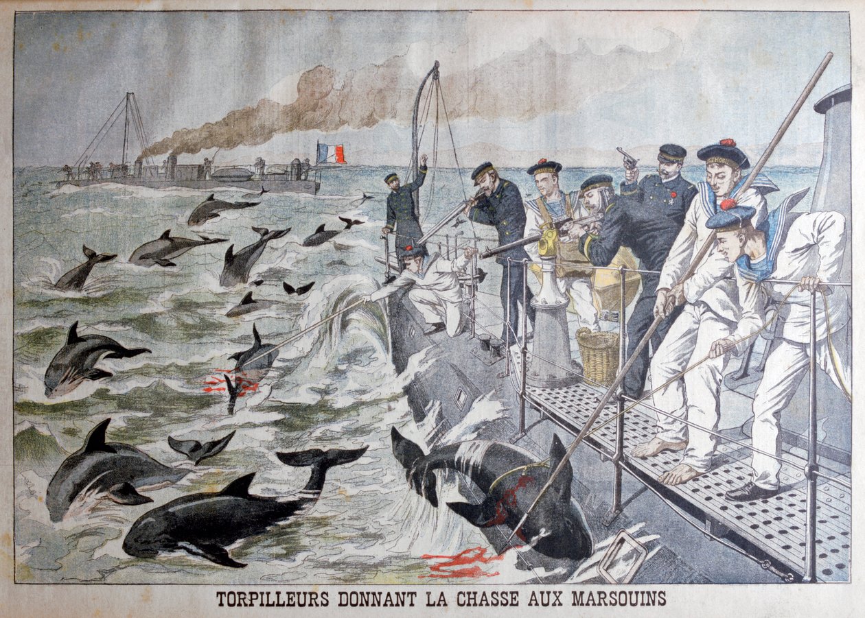 法国鱼雷艇狩猎海豚，1903年 作者 不明