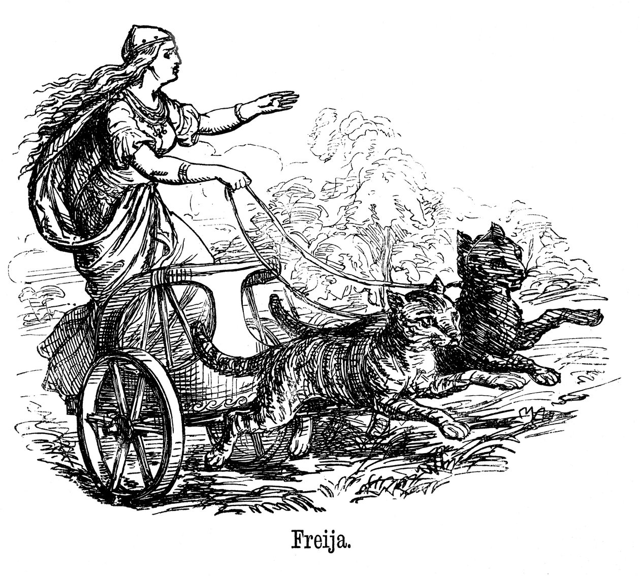 弗雷亚·弗里格（Freya Frigg）在斯堪的纳维亚神话中的爱情女神，驾驶着她的战车被猫拉着 作者 不明