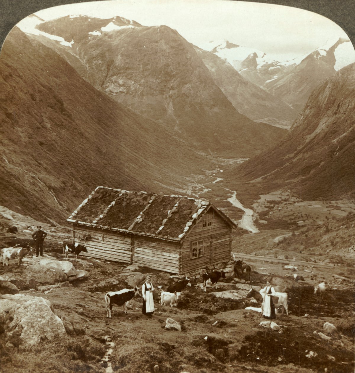 从Vidde saeter的山间客栈向下到达Vidde山谷-山。斯卡拉（Skaala），距离正确，c1905。 作者 不明