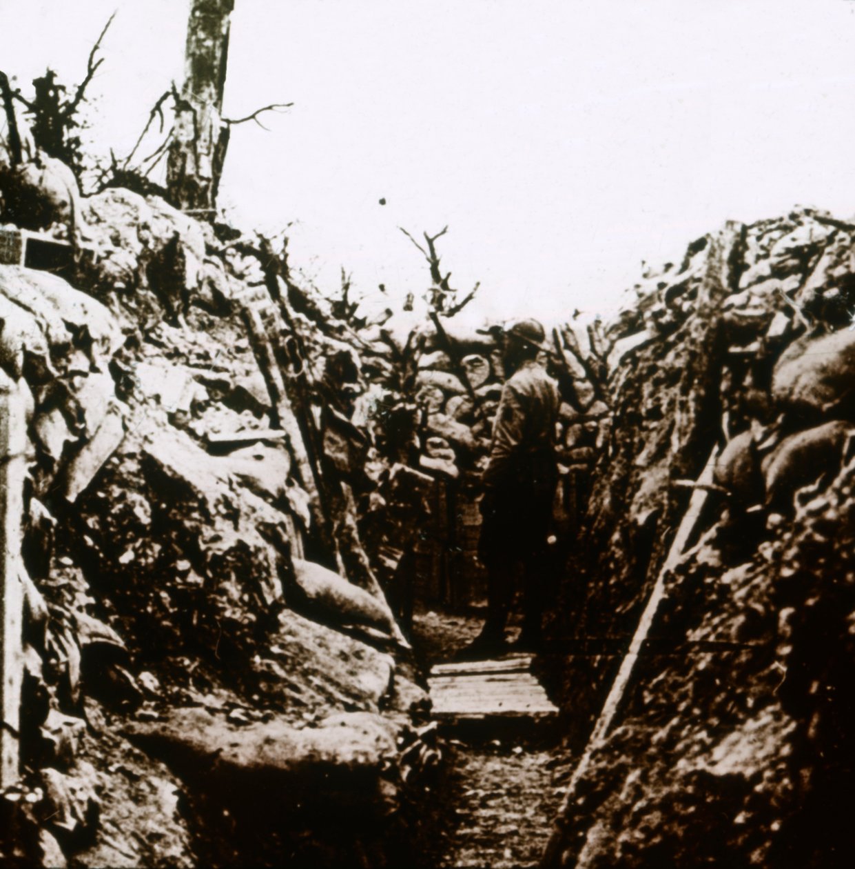 法国Bonneuil的前线，c1914-c1918 作者 不明