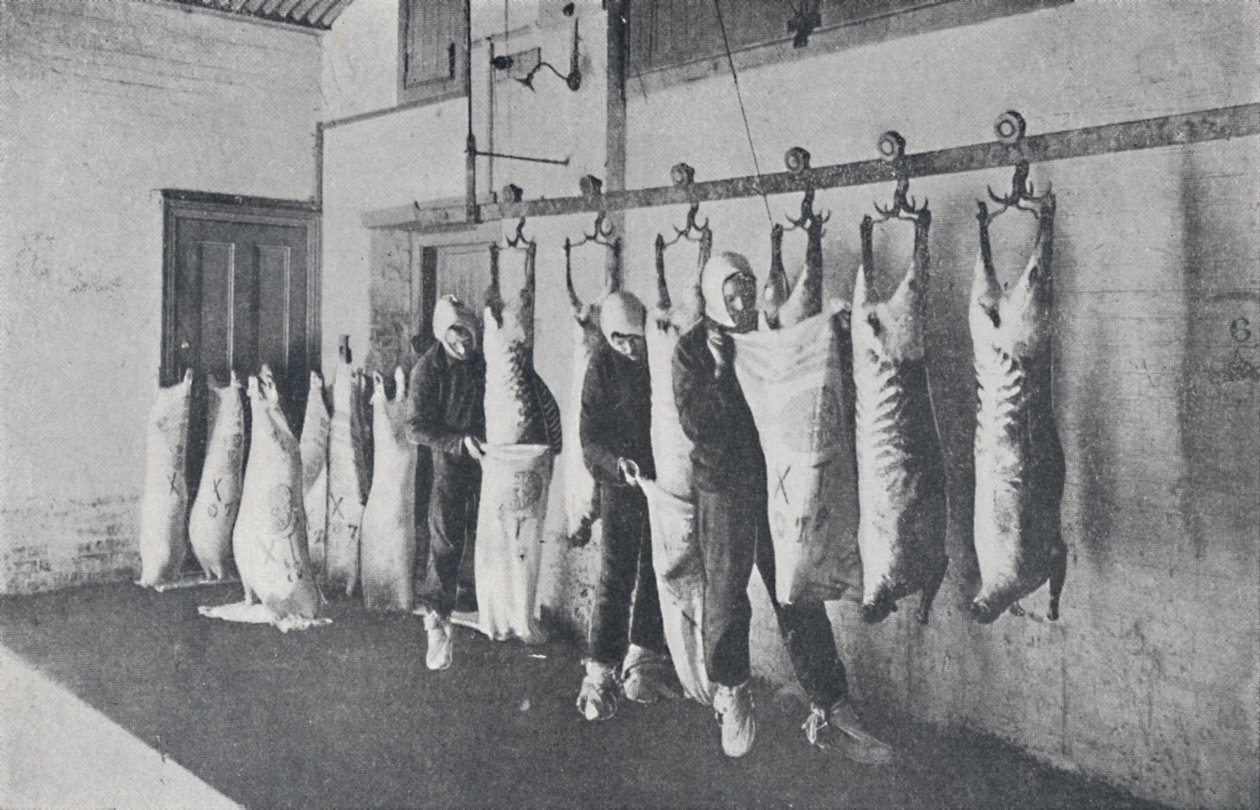 冷冻肉，1923年。 作者 不明