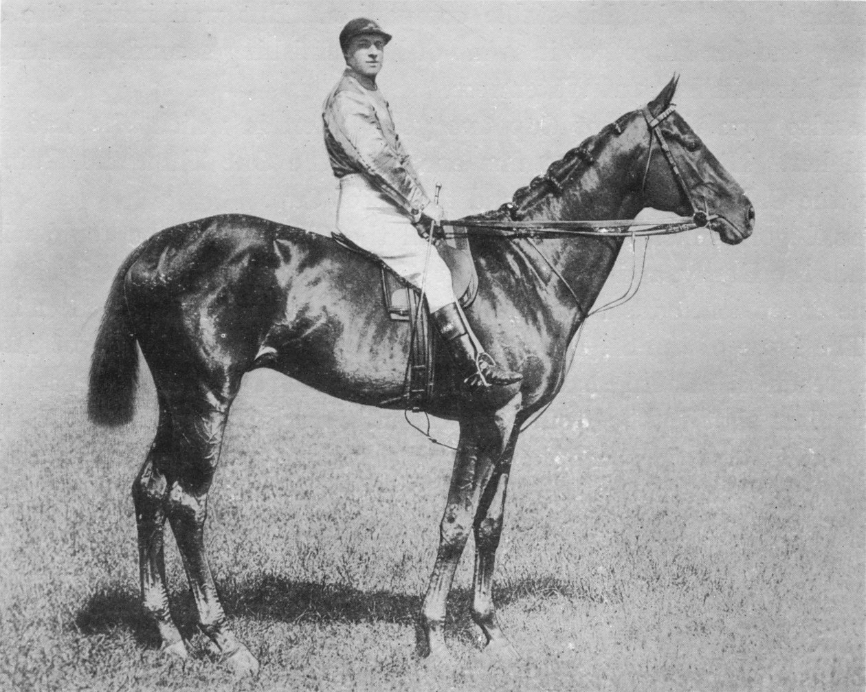Galtee More，1894-1917年，1911年 作者 不明