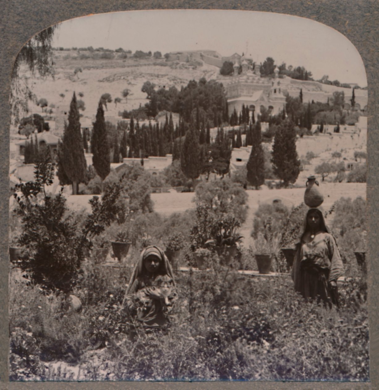 客西马尼园和希腊花园的橄榄山，c1900 作者 不明