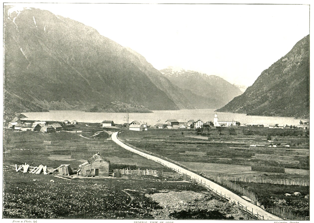 全景图，挪威奥德，1895年。 作者 不明