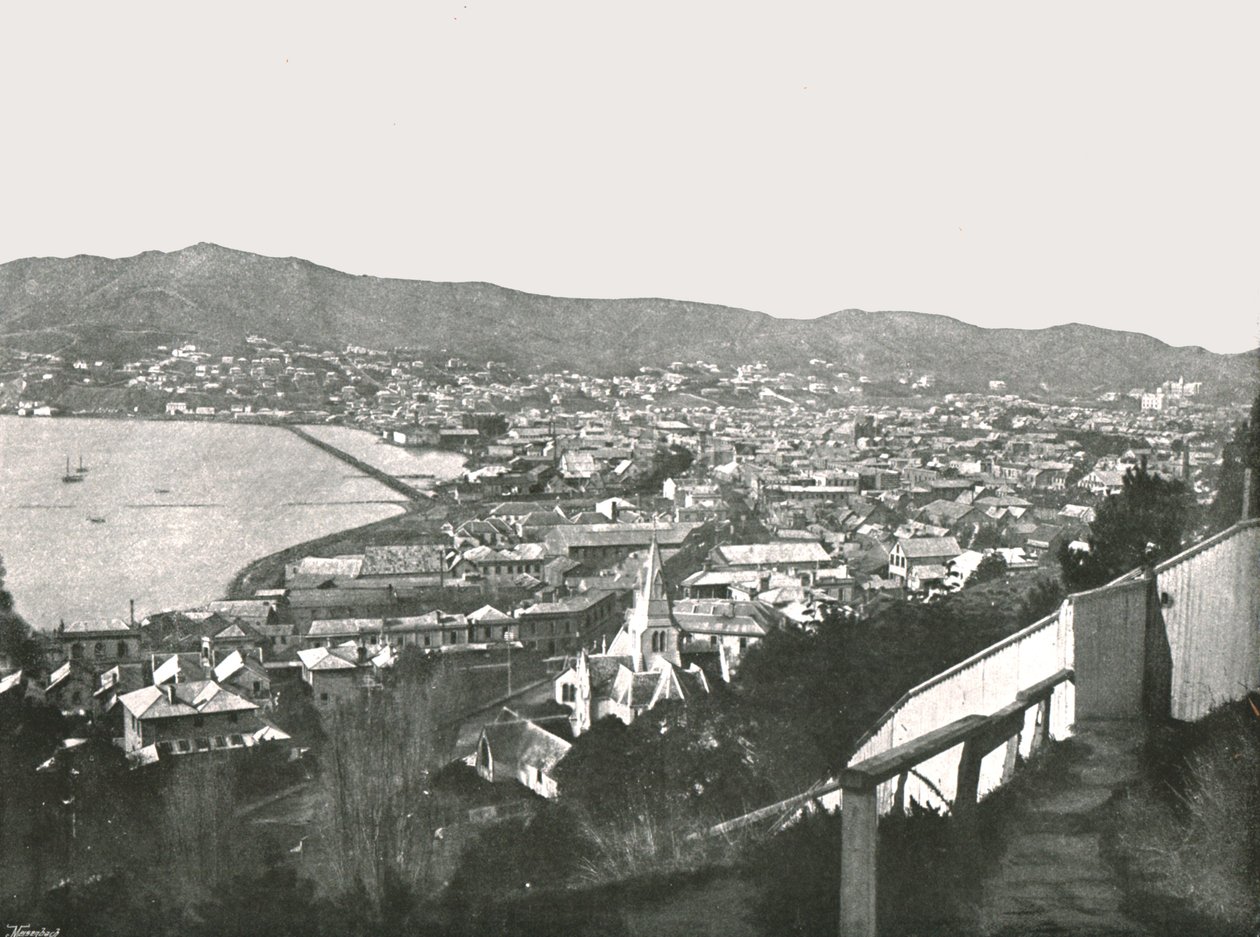 城市全景，惠灵顿，新西兰，1895年。 作者 不明