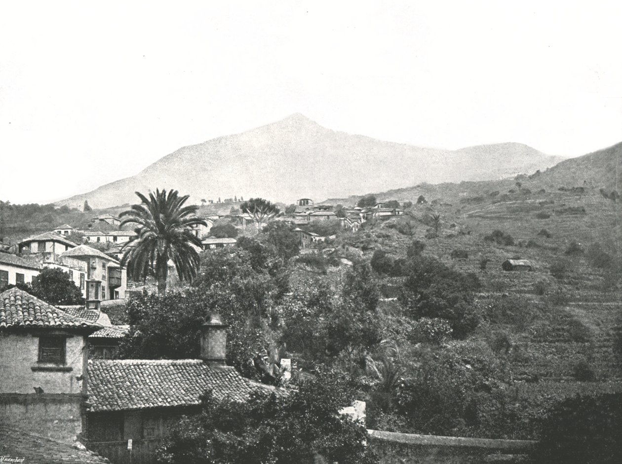 显示山顶的全景，特内里费岛，加那利，西班牙，1895年。 作者 不明