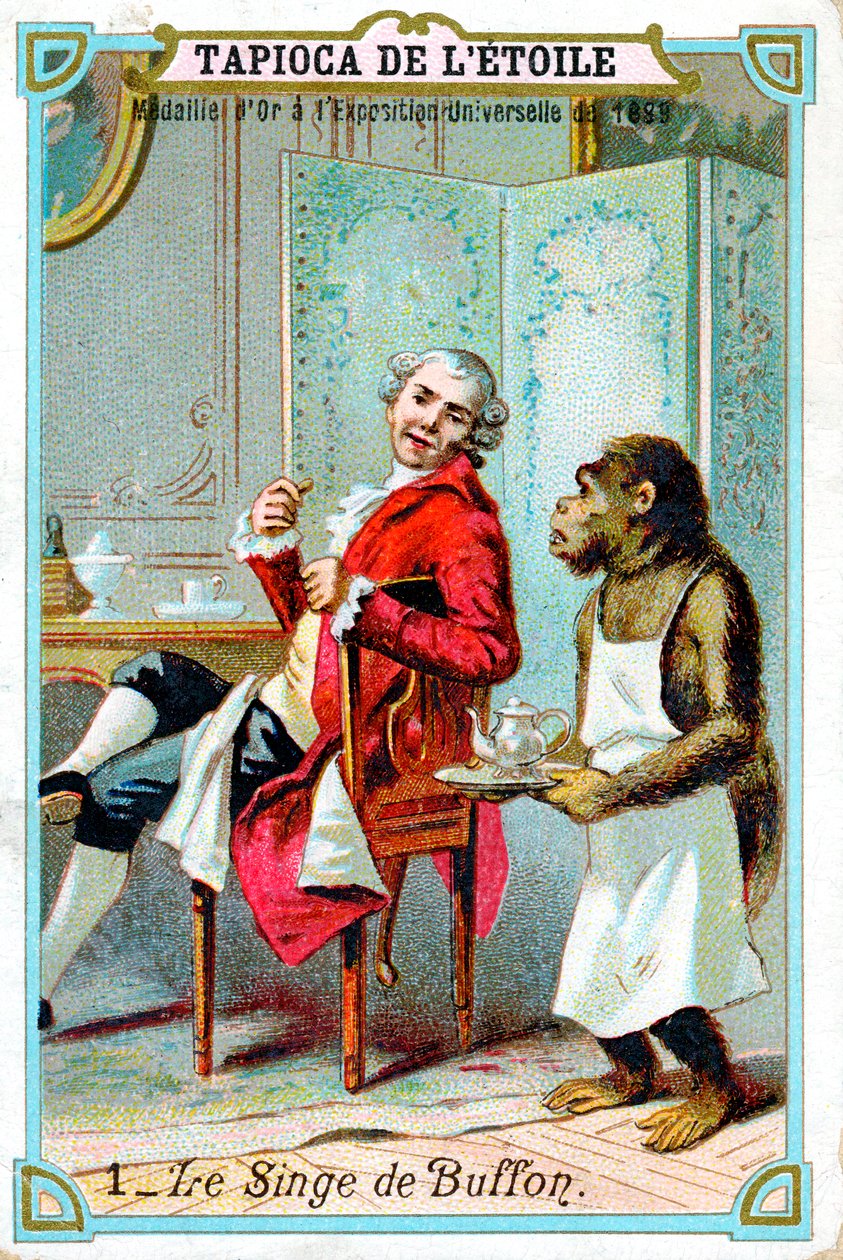 乔治·路易·勒克莱尔（George-Louis Leclerc），布冯孔德（Comte de Buffon），18世纪法国博物学家，大约1890年 作者 不明