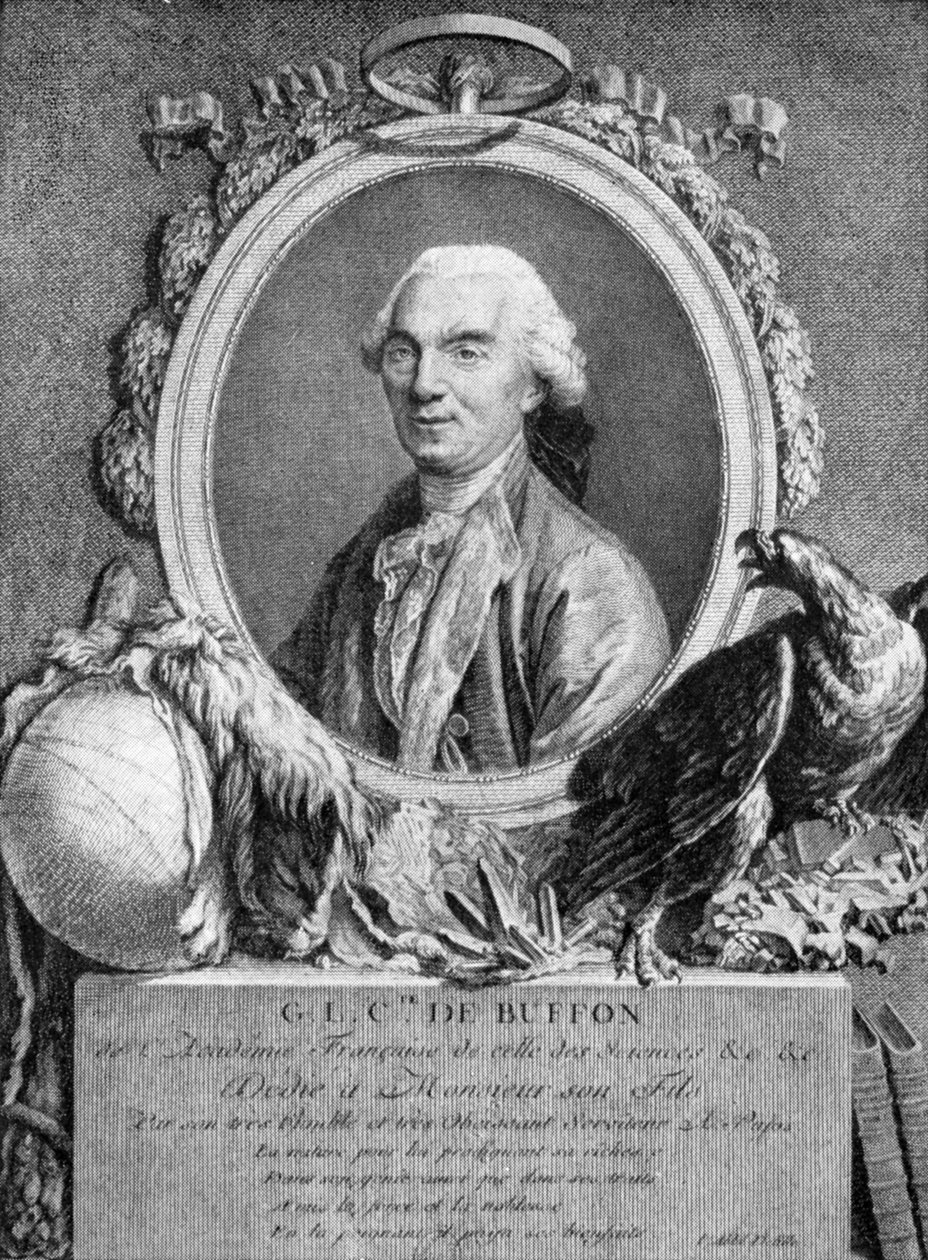 乔治·路易斯·勒克莱尔（Georges-Louis Leclerc），布冯伯爵，法国博物学家，18世纪 作者 不明