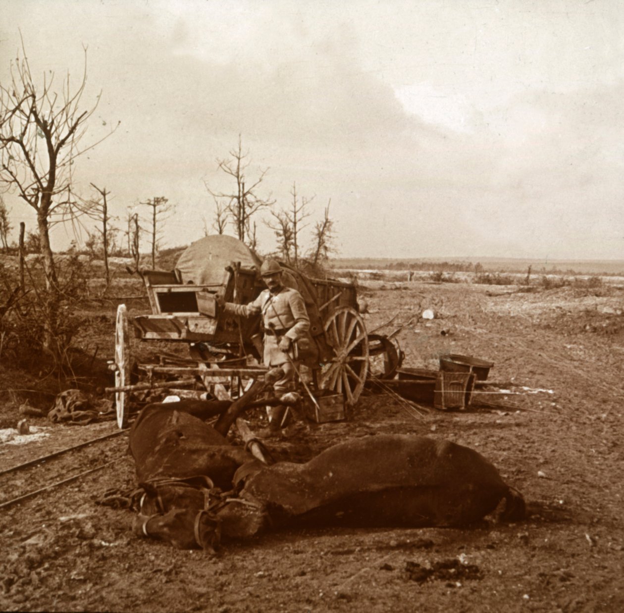 法国北部塔胡尔（Tahure）的德国马拉车，c1914-c1918 作者 不明
