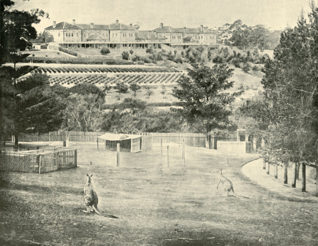 Gladesville精神病院，新南威尔士，1901年。 作者 不明
