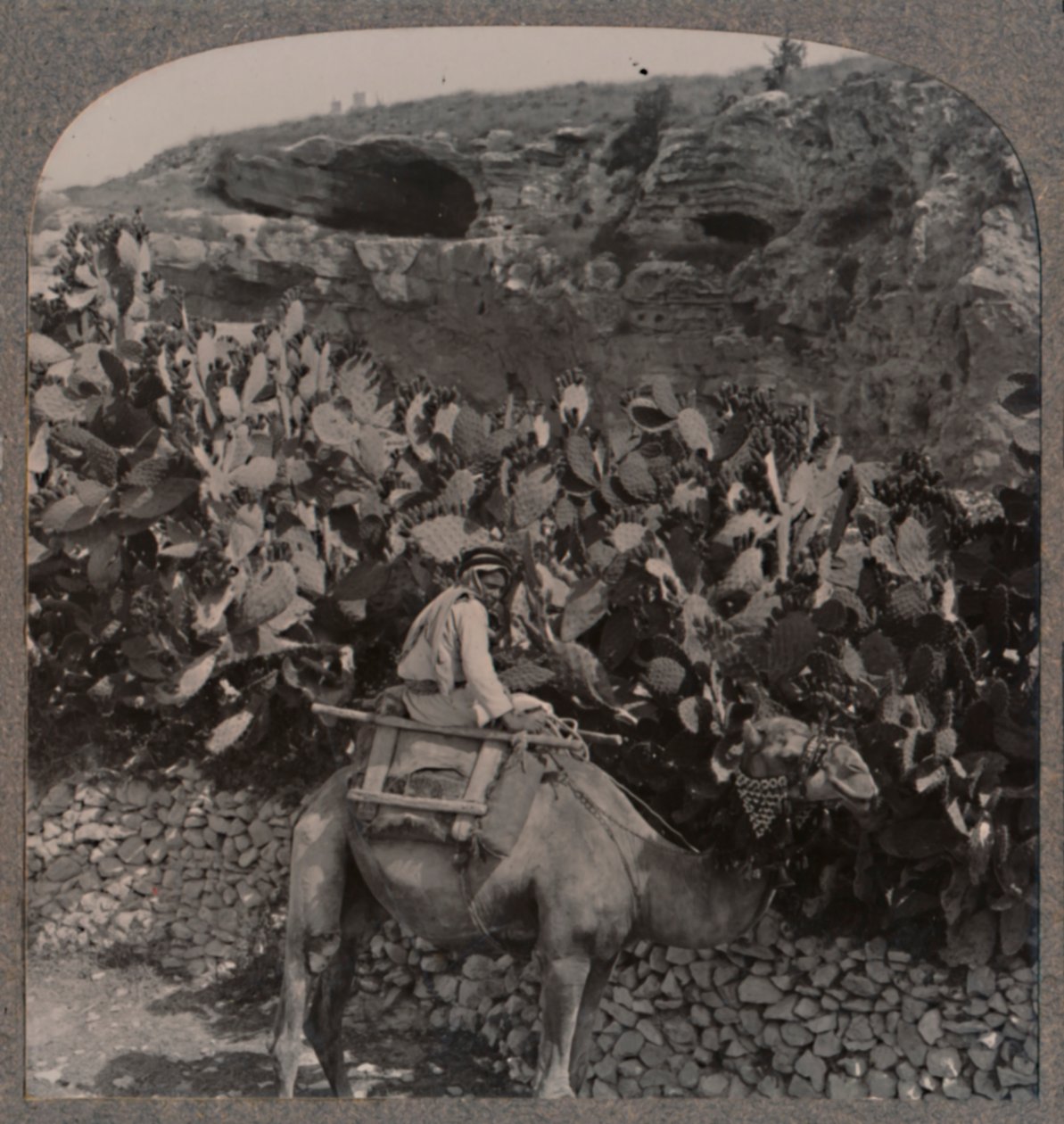 Golgotha头骨之地，c1900 作者 不明
