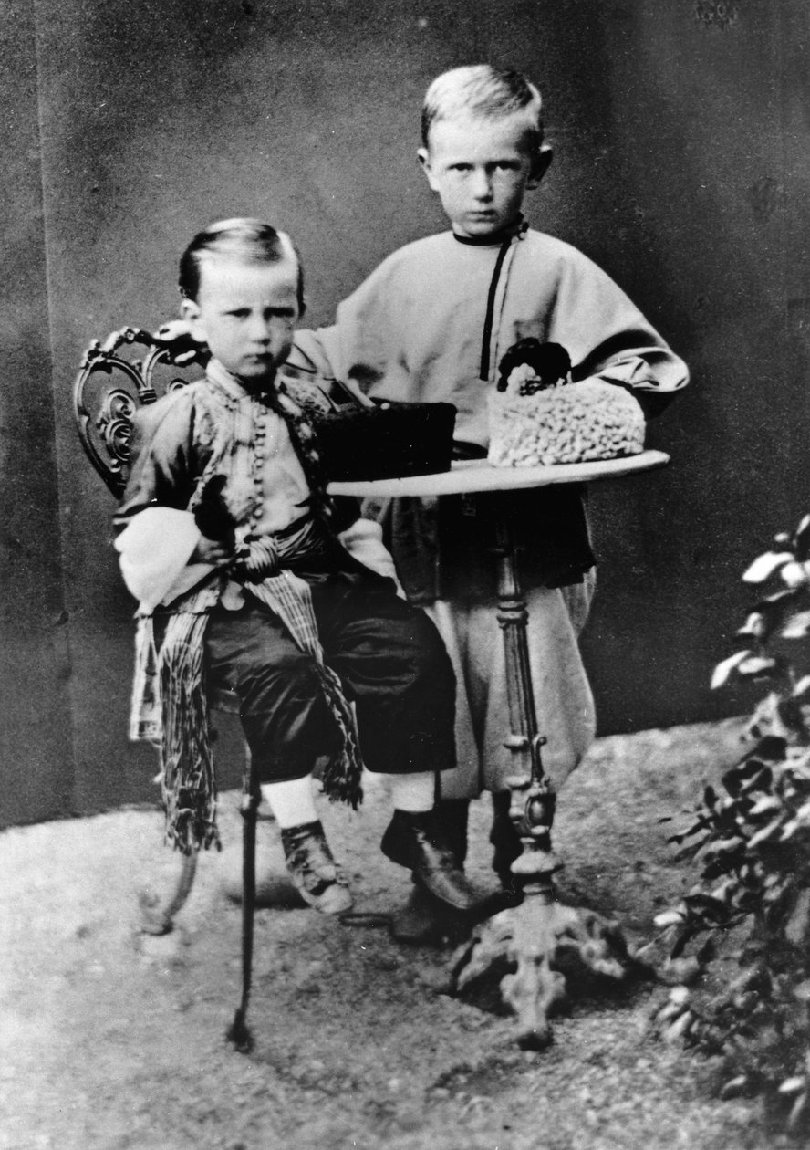 俄罗斯大公Paul Alexandrovitch和Sergei Alexandrovitch，1863年 作者 不明