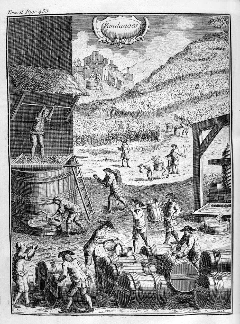 葡萄收获，1775年 作者 不明