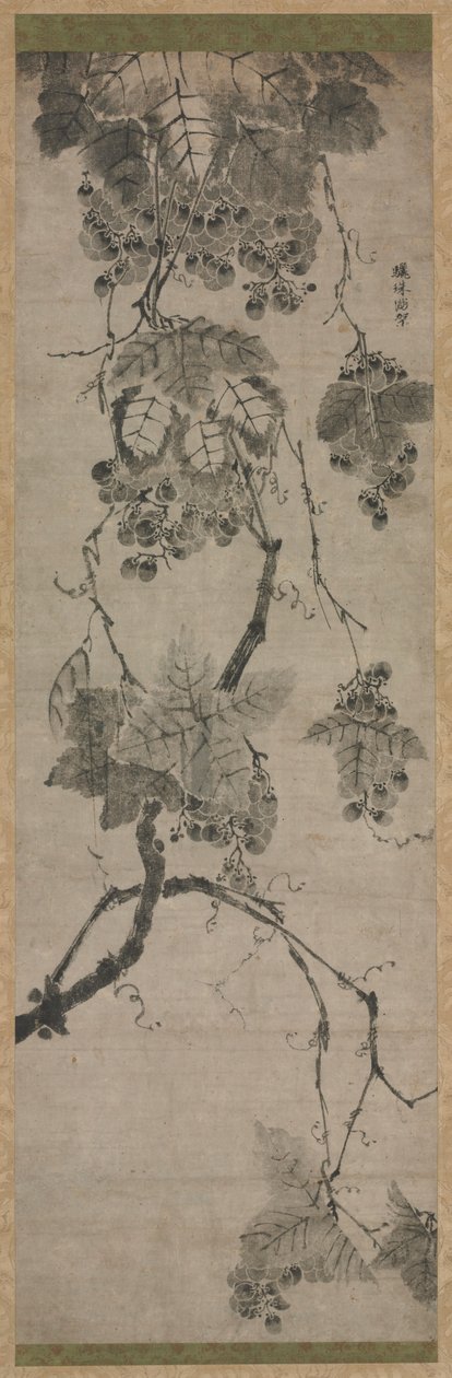 1700年代的葡萄。 作者 不明