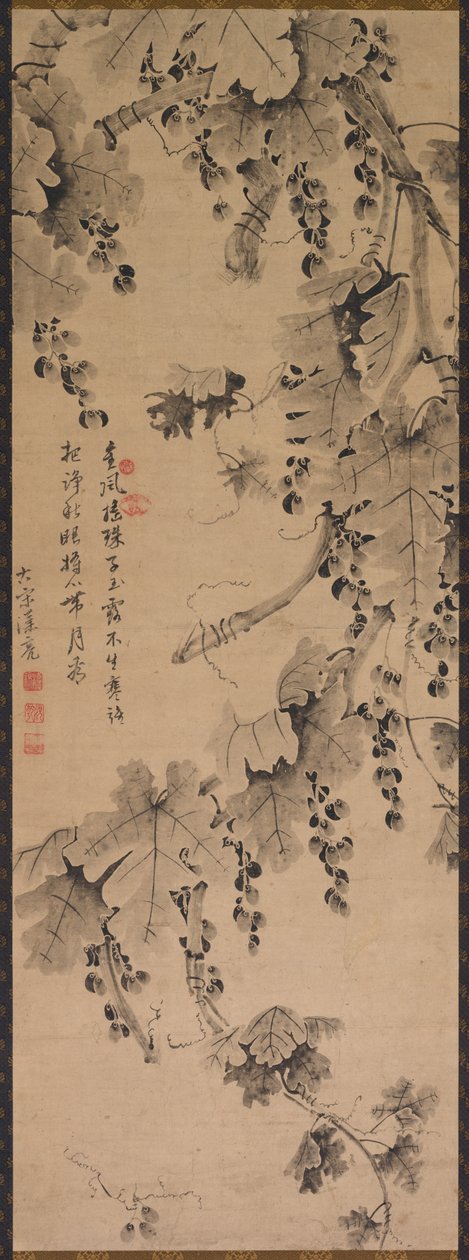 葡萄树，1700到1800年代。 作者 不明