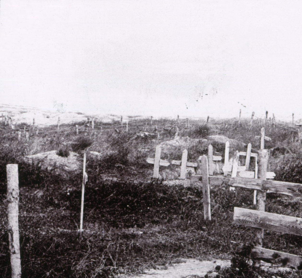 法国北部Massiges格雷夫斯（Graves），c1914-c1918。 作者 不明