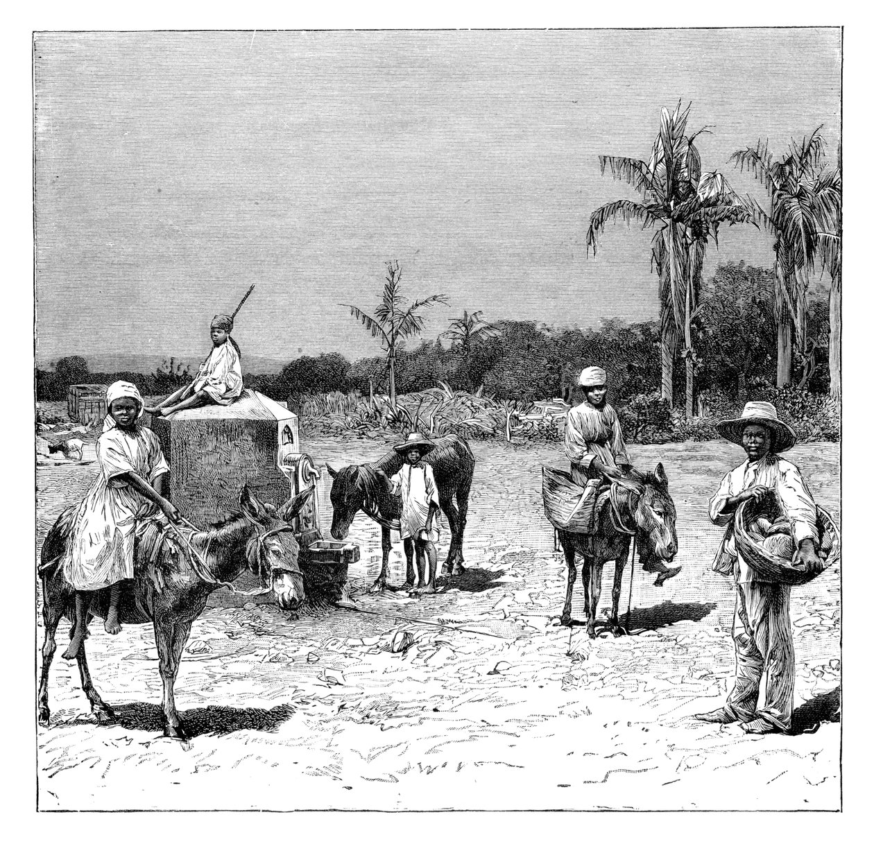 海地人集团，c1890 作者 不明