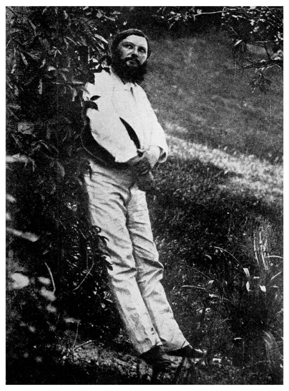 古斯塔夫·库尔贝（Gustave Courbet），法国艺术家，19世纪，1956年 作者 不明
