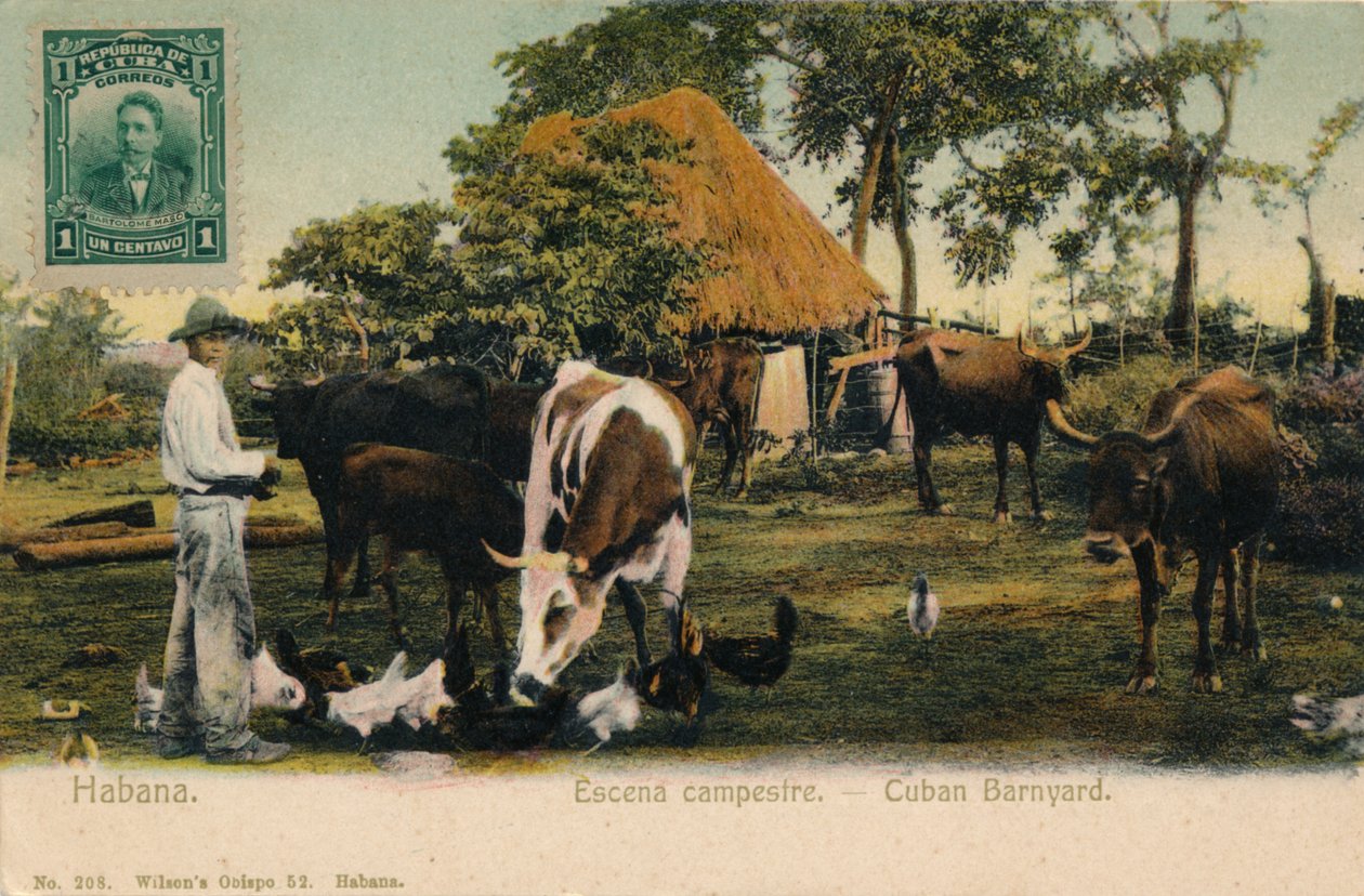 哈瓦那乡村风景-古巴Bar，c1910 作者 不明