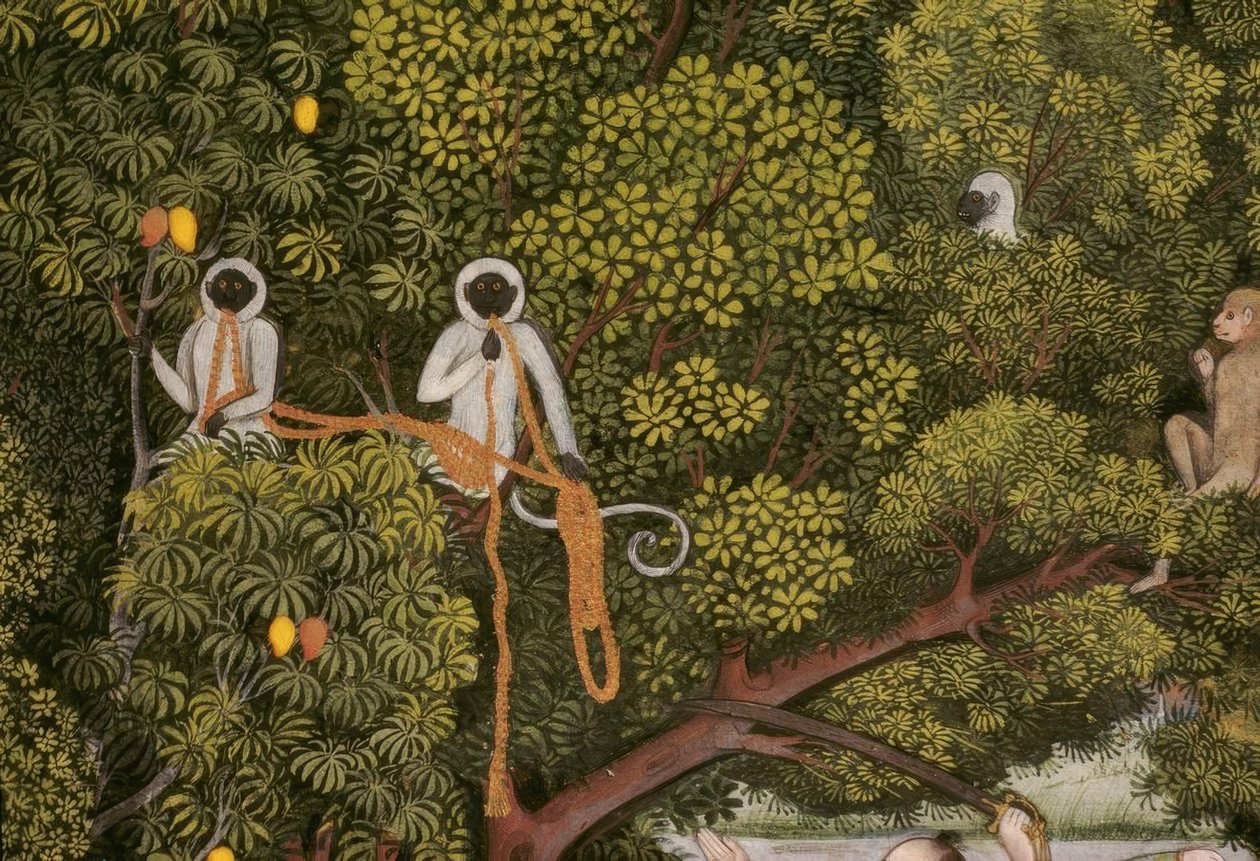 Hanuman-Languren indische Miniatur 作者 不明
