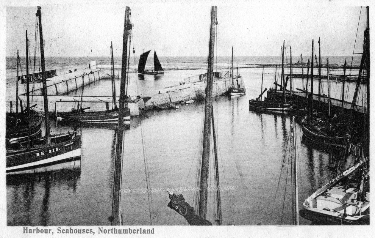 海港，海港，诺森伯兰，1905年 作者 不明