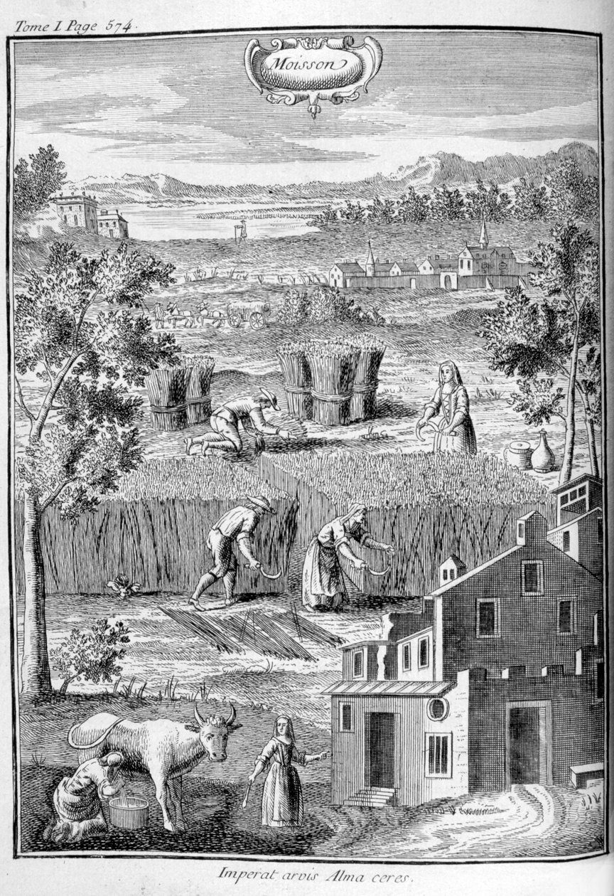 丰收，1775年 作者 不明