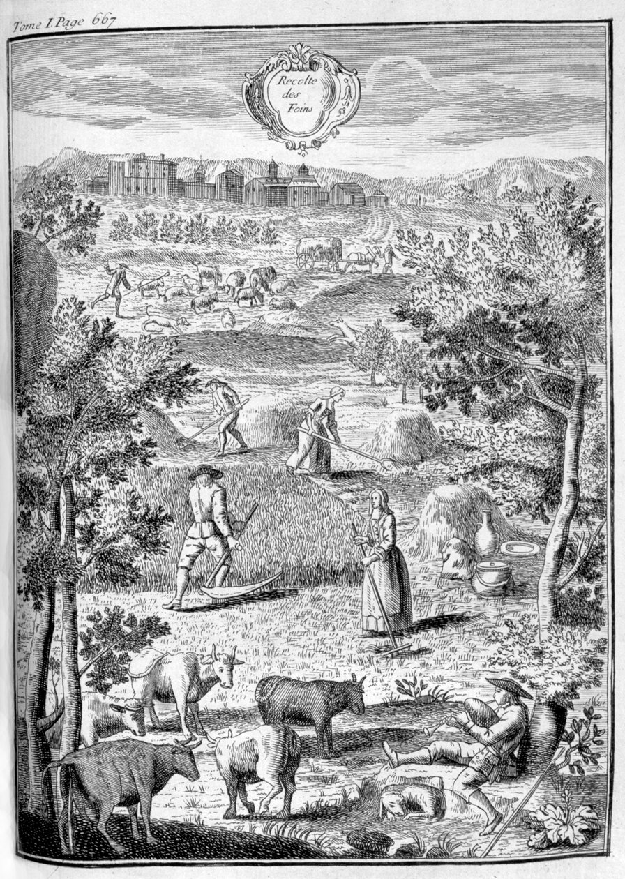 收割干草，1775年 作者 不明