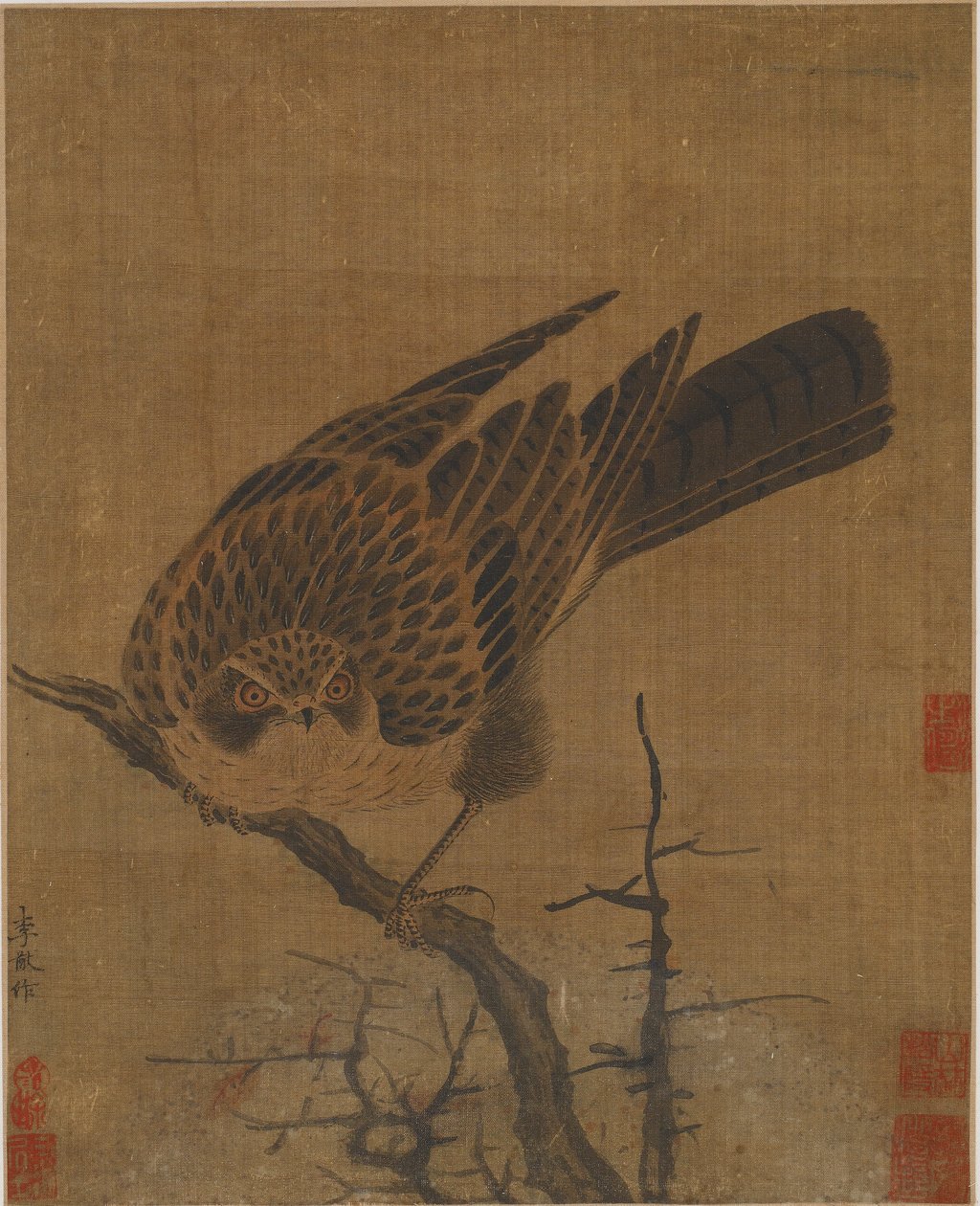 鹰在无叶的树枝上，可能是元代，1279-1368。 作者 不明