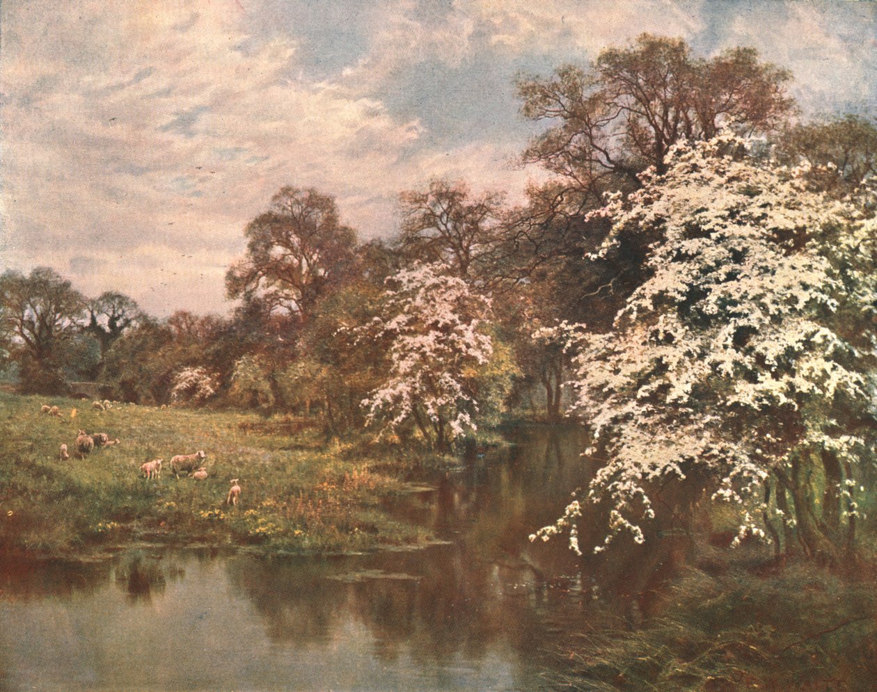 山楂花，c1899，c1902。 作者 不明