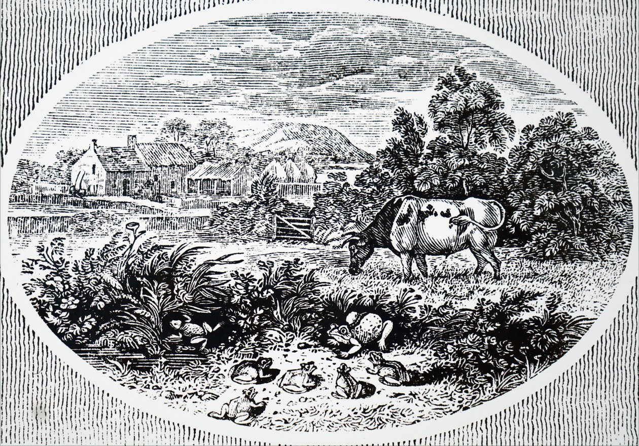 Thomas Bewick 的头饰 作者 不明