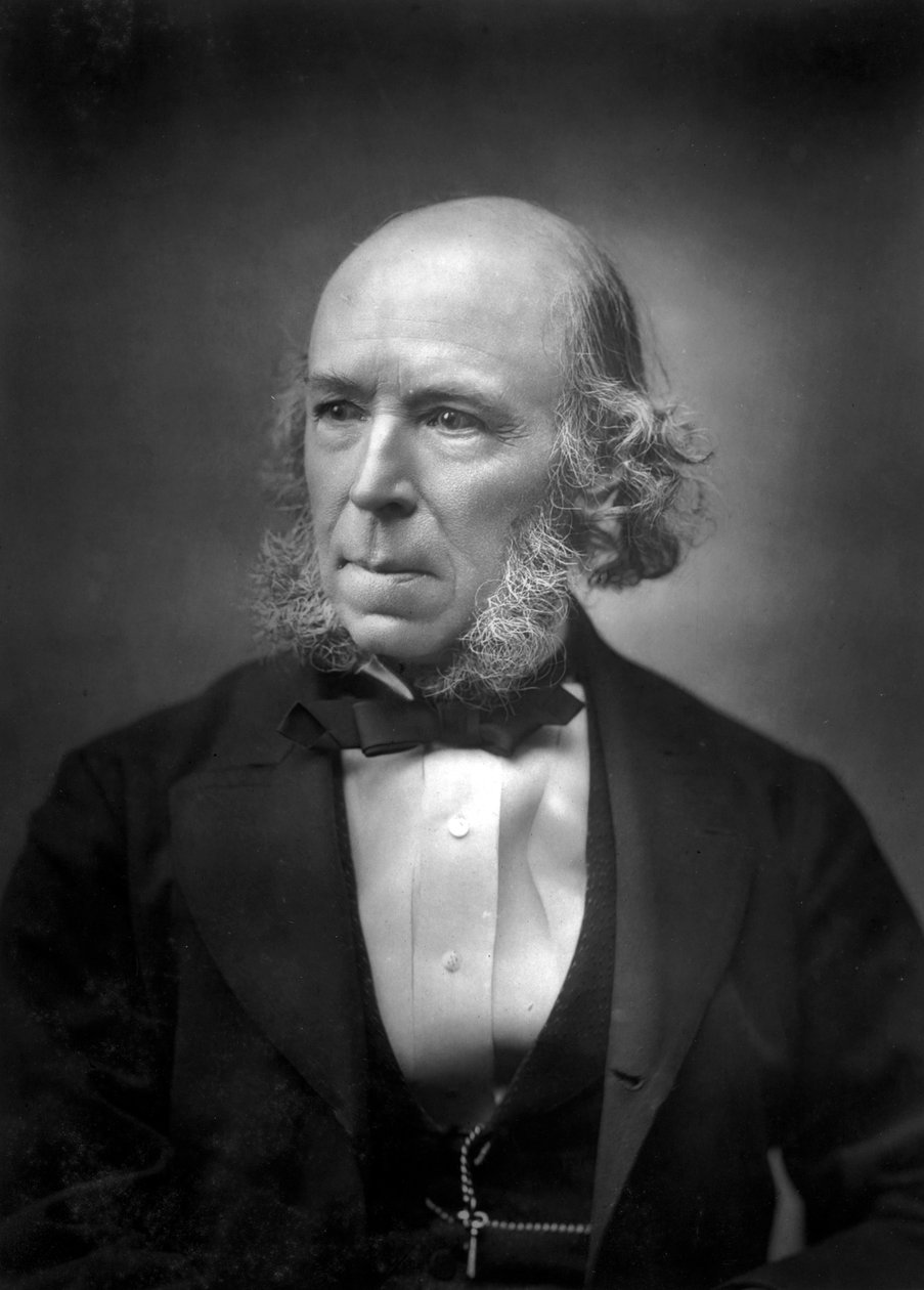 赫伯特·斯宾塞（Herbert Spencer）1820-1903，十九世纪末 作者 不明