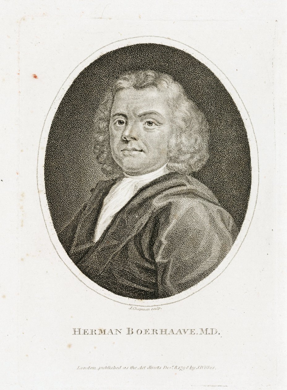 Herman Boerhaave，荷兰医生、化学家和植物学家，18 世纪初 作者 不明