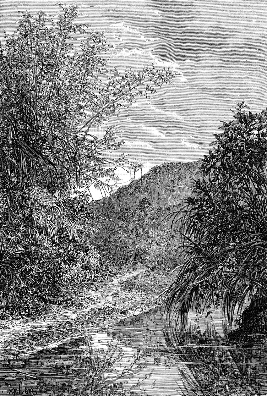 高地景观，台湾，1890年 作者 不明