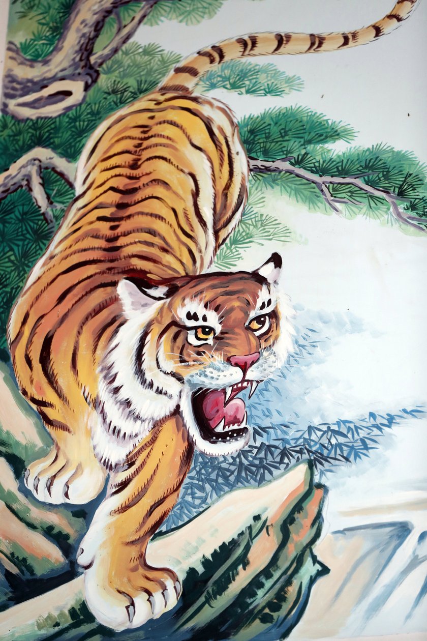 Hoi Tuong Te Nguoi Hoa 佛教中国寺庙。 老虎画。 富国岛。 越南。 作者 不明