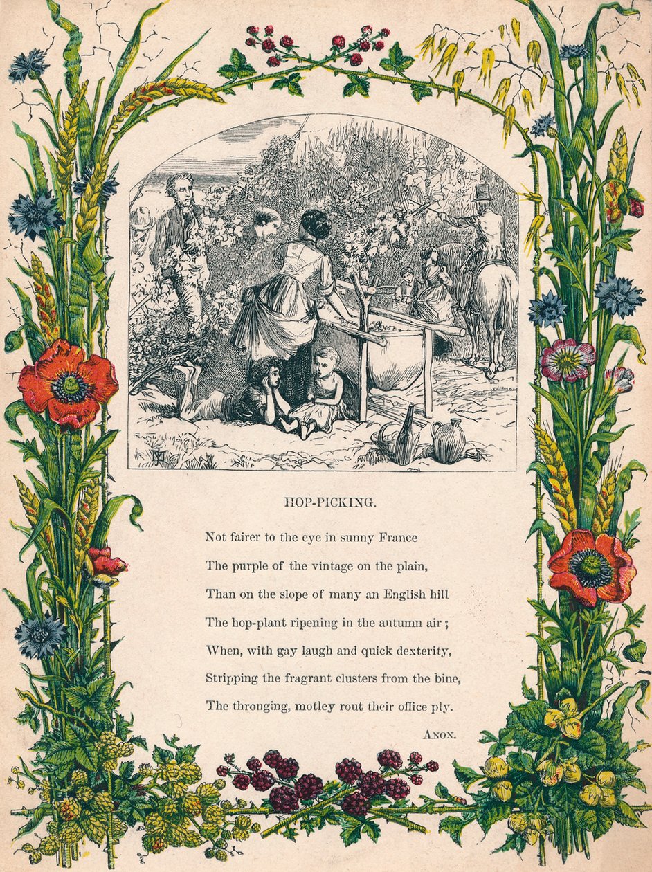 Hop-Picking，c1900 作者 不明