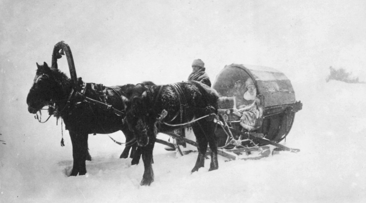 马拉雪橇kibitka，俄罗斯西伯利亚，1890年代 作者 不明