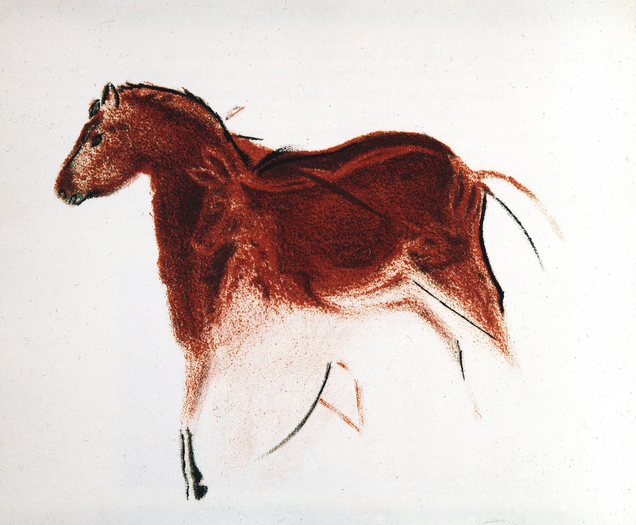 马和后腿，西班牙南部阿尔塔米拉的旧石器时代洞穴壁画，约公元前16000-9000年 作者 不明