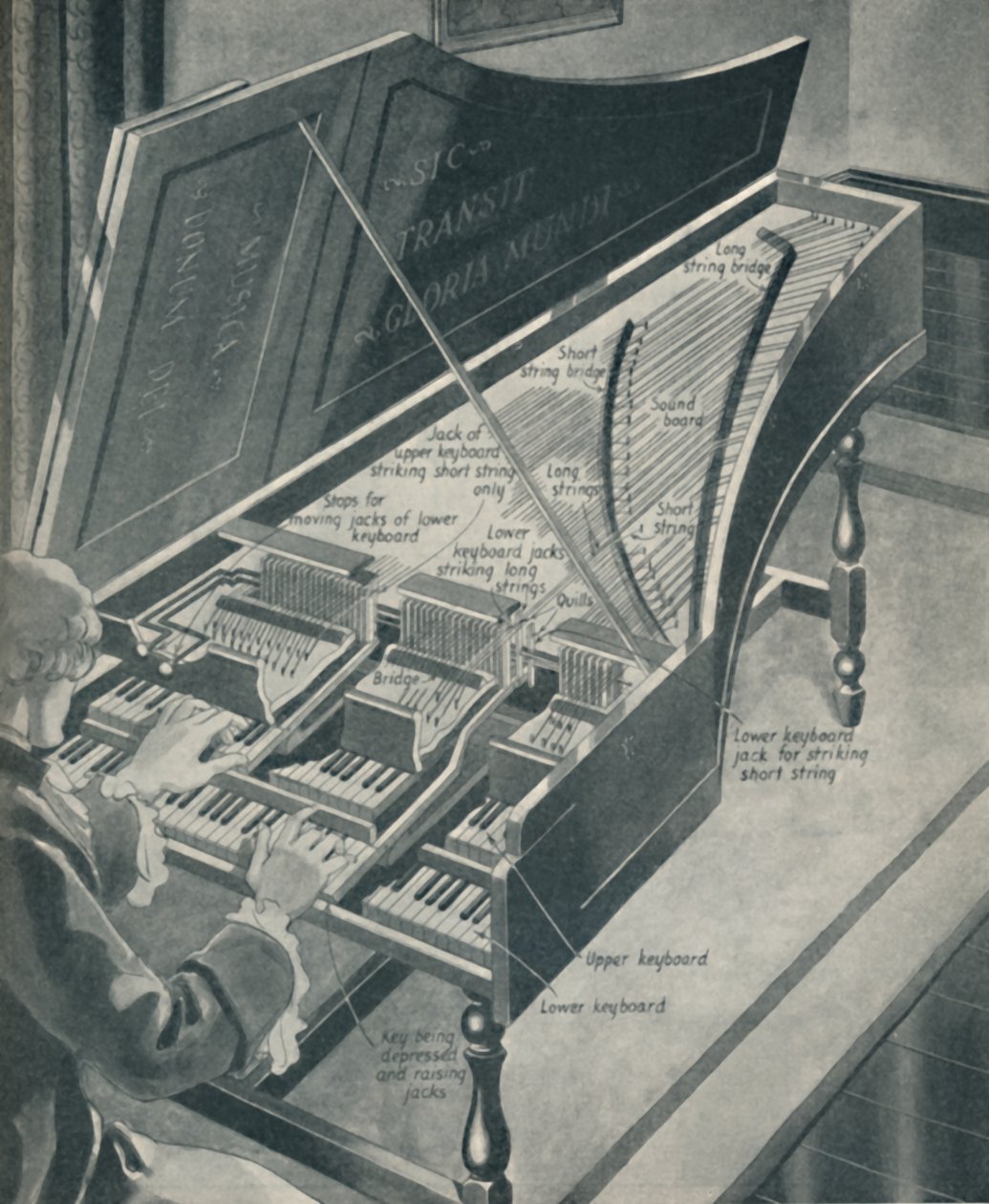 Handels Harpischord如何工作，c1934年 作者 不明