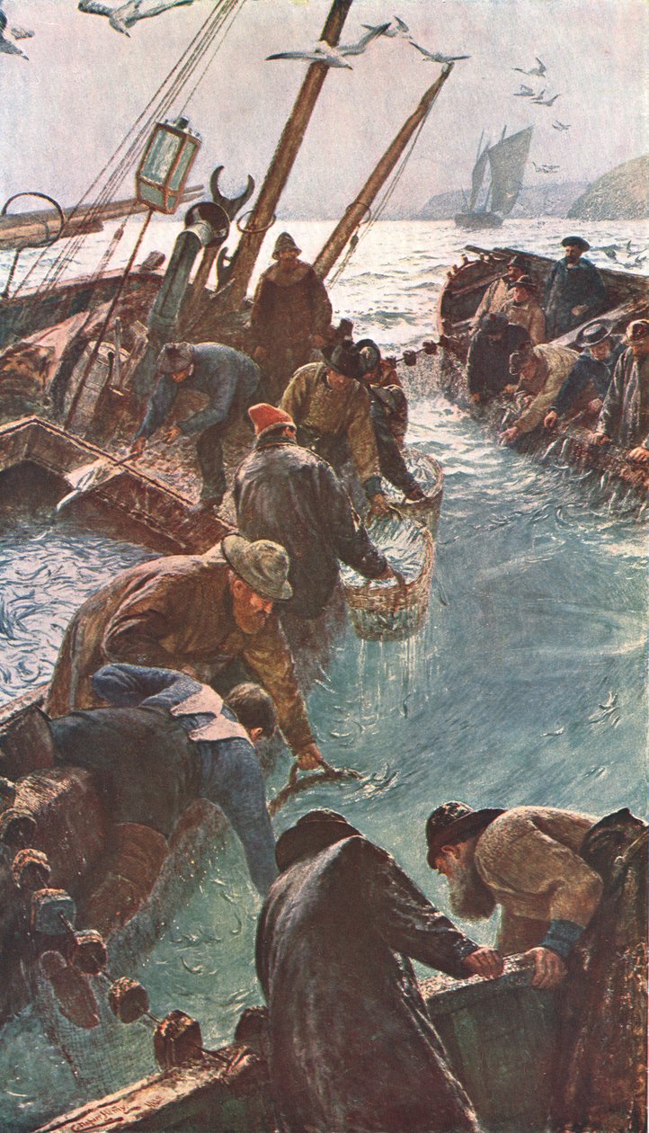 《我们如何抓住皮尔查兹》，1895年，c1902。 作者 不明